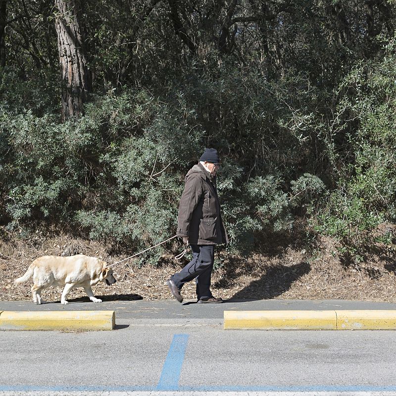 Walking with my dog (3).JPG